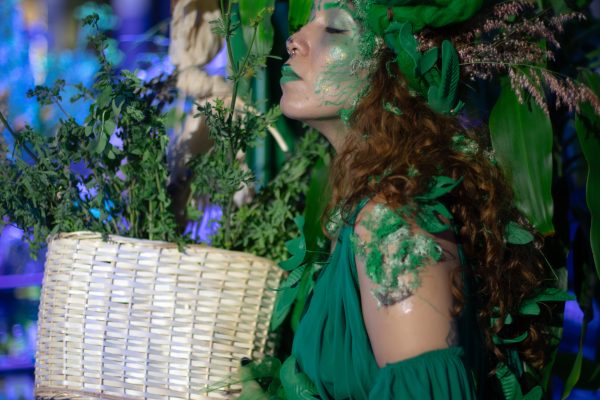 Magia Herbaria Proyecto Plaza de Mercado